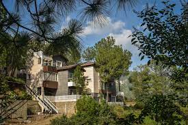 Jungle Lodge Resorts