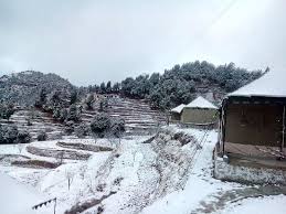 Dhanaulti Magic Camp