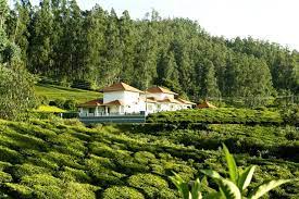 Green Leaves The Countryside Inn Resort