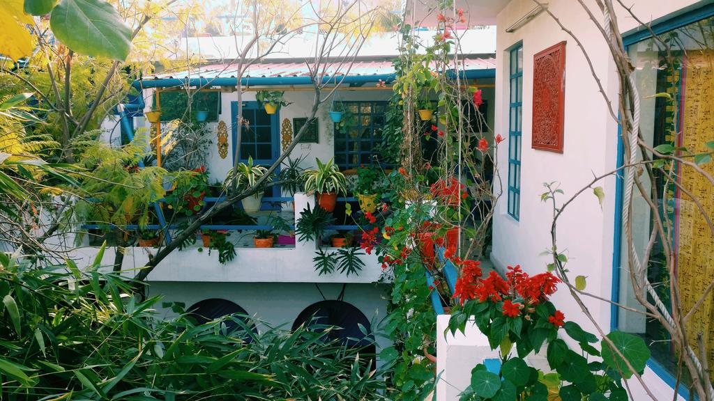 The Coral House Homestay