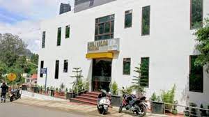 Golden Larch Residency