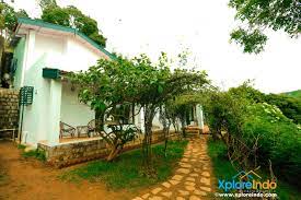 The Tamarillo Homestay