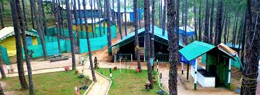 Pinehills Nature camp